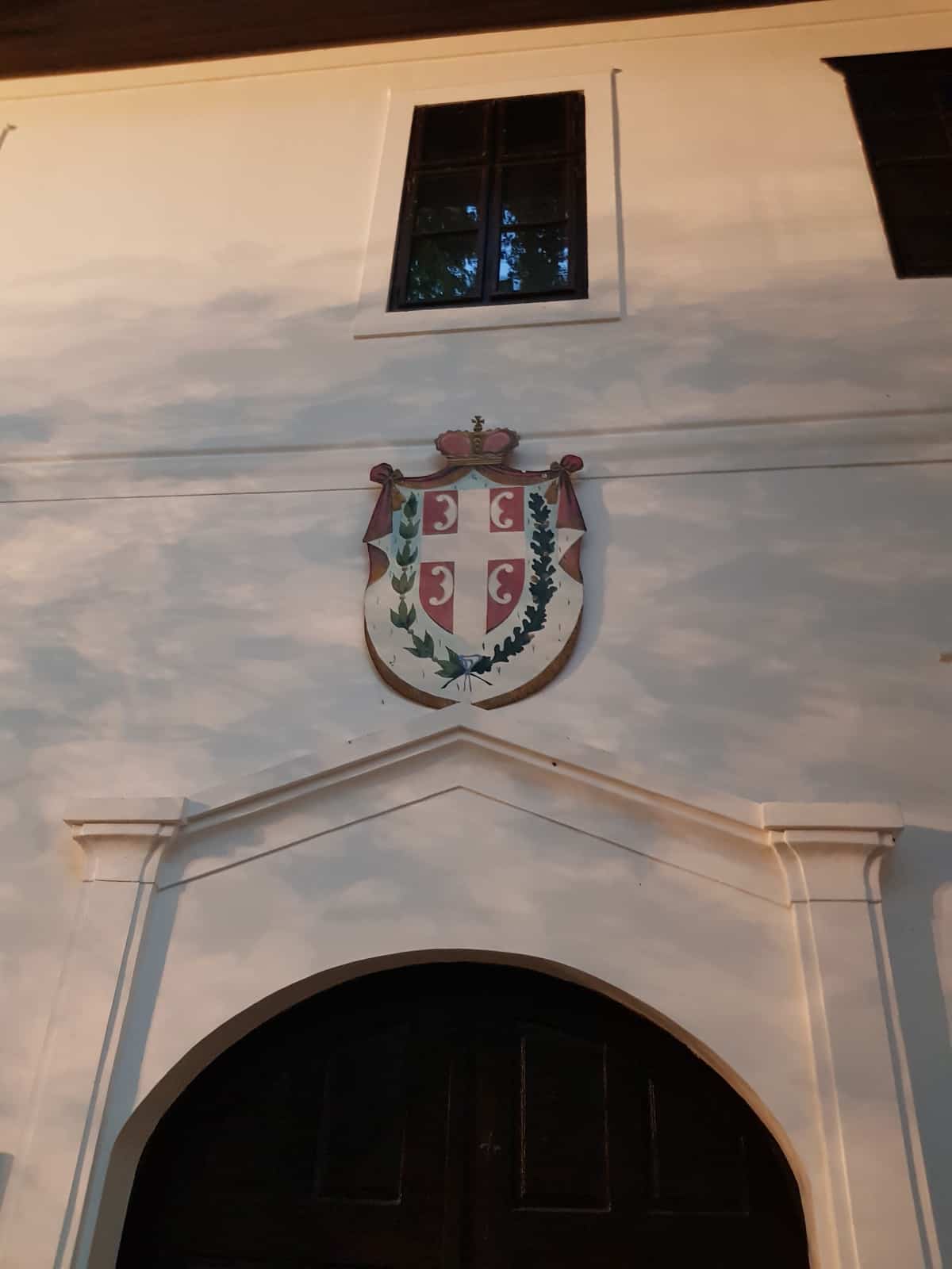 old platanus tree belgrade fattest tree