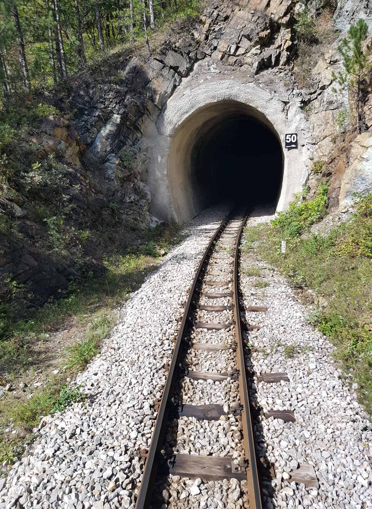 shargan train serbia tara mountain
