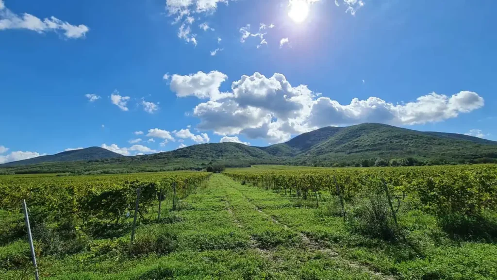 Serbia Vrsac bigtours