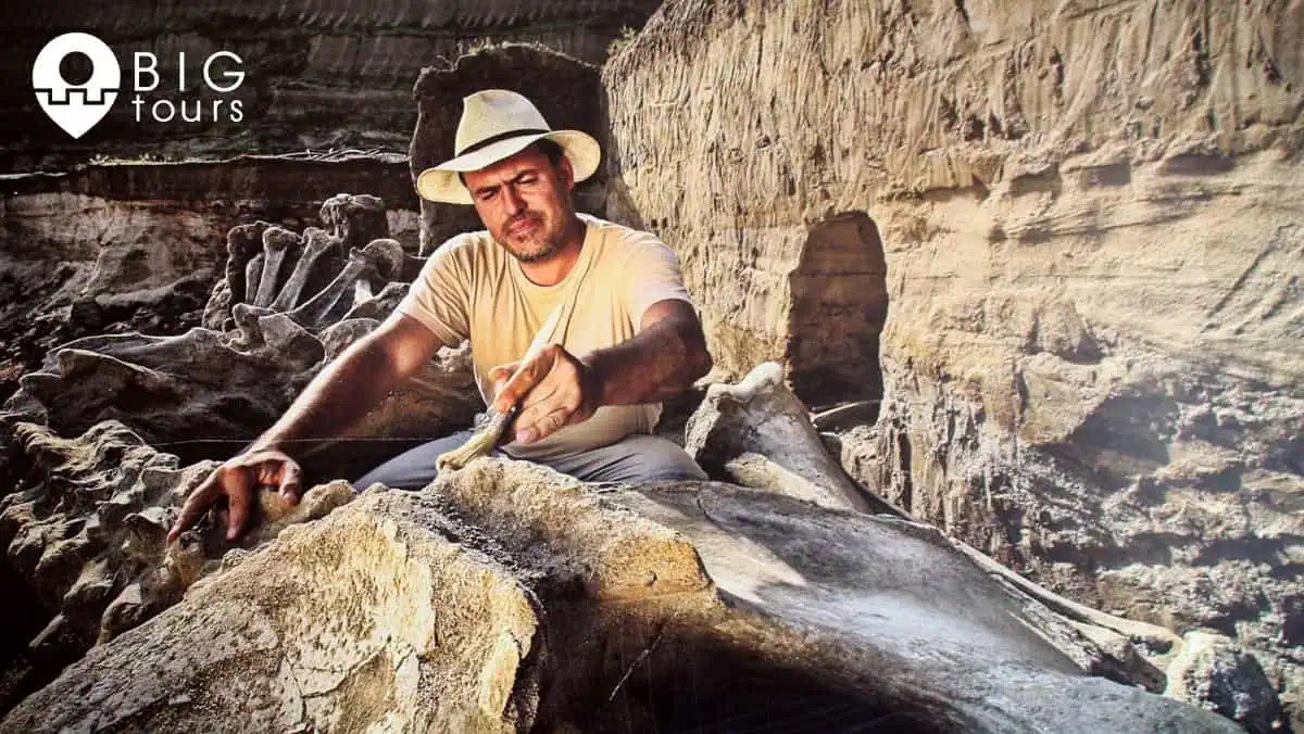 Viminacium archaeology sightseeing bigtours