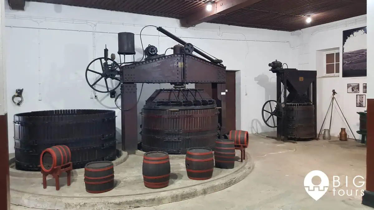 Winery Royal Topola bigtours